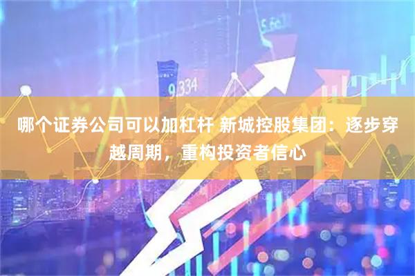 哪个证券公司可以加杠杆 新城控股集团：逐步穿越周期，重构投资者信心