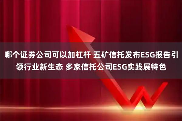 哪个证券公司可以加杠杆 五矿信托发布ESG报告引领行业新生态 多家信托公司ESG实践展特色