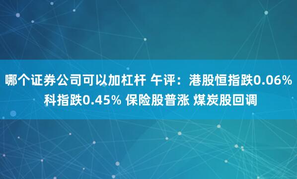 哪个证券公司可以加杠杆 午评：港股恒指跌0.06% 科指跌0.45% 保险股普涨 煤炭股回调